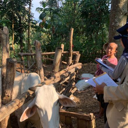 Recording, Vaksinasi, dan Pemasangan Eartag Untuk Ternak Desa Wuwur